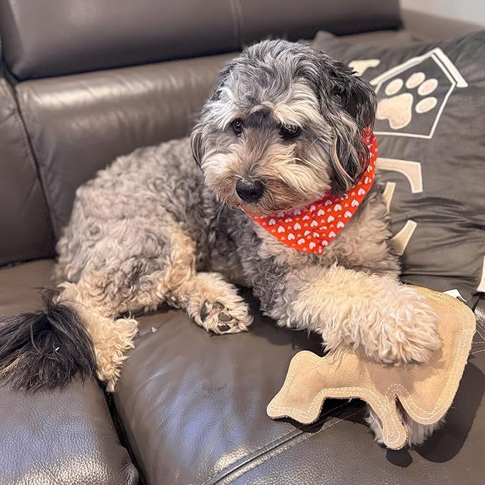 SPOT Dura-Fused Leather Raccoon Dog Toy – Real Leather & Jute Fabric, Double-Stitched & Durable, Squeaky Interactive Chew Toy for Moderate Chewers, Small & Medium Dogs, Soft Stuffed Fetch Toy, 7.25in