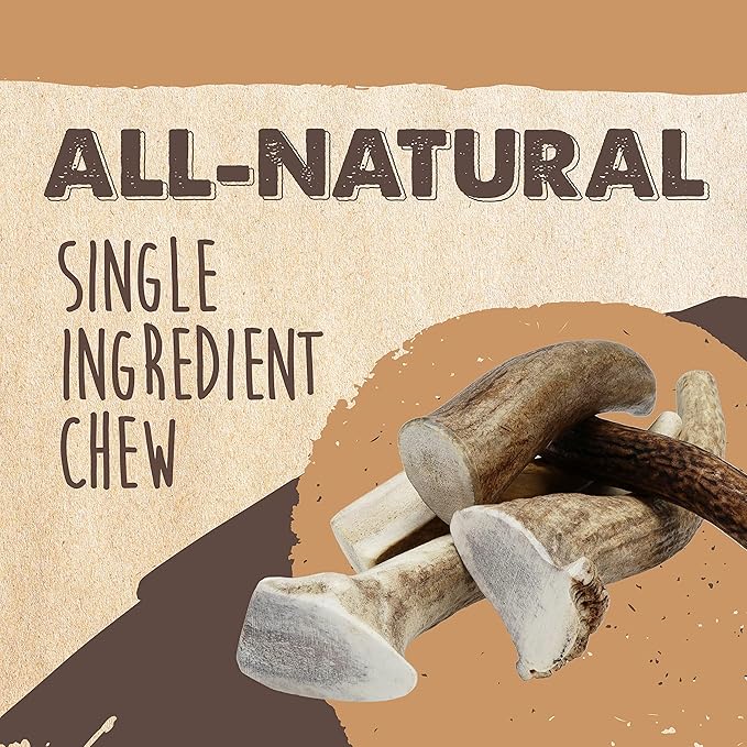 Mighty Paw Split Elk Antlers for Dogs (Sourced in The USA) | 2 Whole Medium 6"+ Long Lasting Bones for Aggressive Chewers - Naturally Shed Split Deer Antler for Dogs - Low Odor Chews (Pack of 2)