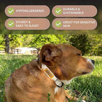 Pawsitive Hemp Dog Collar - Super Soft Hypoallergenic Lining. Great for Small, Medium and Large Dogs; Large Natural