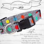 Lucky Love Dog, Adjustable Fun Style Collar and Leash Set for Dogs, Bright Color Matching Dog Collar and Leash - (Large, SOCO Combo)