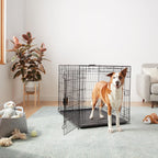 Amazon Basics Durable,Foldable Metal Wire Dog Crate with Tray, Double Door, 42 x 28 x 30 in, Black