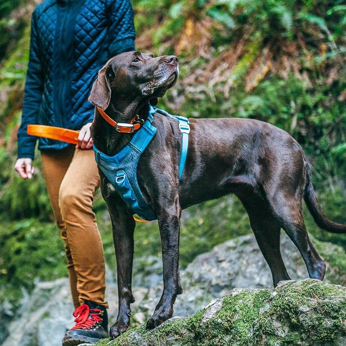 Kurgo Journey Air Dog Harness, Blue, Small | Padded Chest, Ripstop Outer & Breathable Mesh, Back Assist Handle, Rust-Free Aluminum Hardware, Reflective Trim