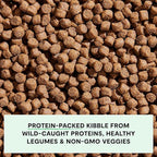 Open Farm, Grain-Free Dry Dog Food, Complete & Balanced Kibble, Sustainably & Ethically Sourced Ingredients, Non-GMO Veggies & Superfoods, Catch-of-The-Season Whitefish Recipe, 4lb Bag