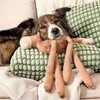 Dog Toys | Plush Toy Camel Stuffed Animal for Dogs | Eco Friendly Toy Made from Non Toxic Materials