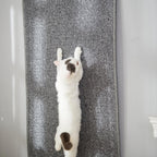 SHENGOCASE 67"x 23.6" Thickened Cat Wall Climbing Carpet, Cat Wall Furniture Scratcher, Scratching Post, Couch Sofa Protector (Grey)