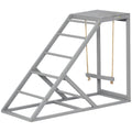 Chicken Activity Play for Healthy & Happy Animals, Swing Set with Chicken Perches & Hen Ladder, Chicken Coop Toy, Gray
